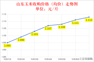 玉米大涨价！10月27日行情 山东企业纷纷上调收购价