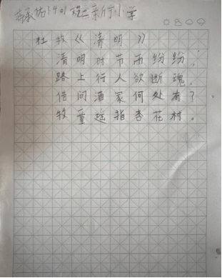 童趣非遗 纸上生花