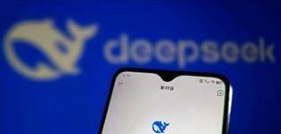 多地政务接入DeepSeek，AI助力政务服务大升级，商户全球化更轻松