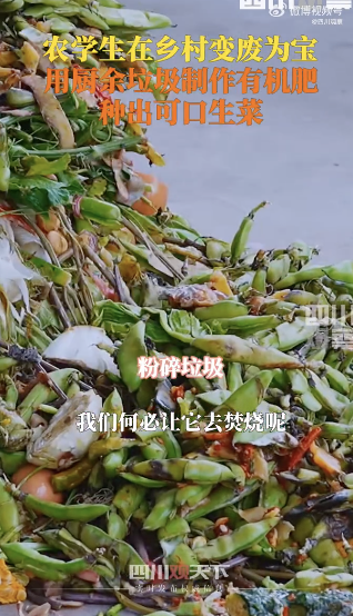 农学生用垃圾制作出生菜 废弃物转新生