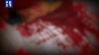 “随便找个陌生人杀了祭天”,缅北魏家接班人回应残忍手段:没什么感受