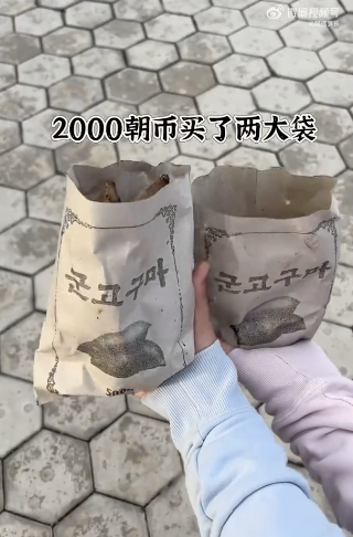 在朝鲜留学这个赛道太小众了!年度留学生量级或不足百人