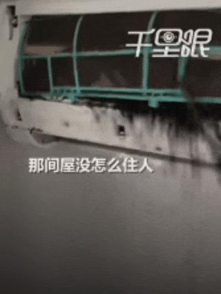 男子上门洗空调时拆开盖板，发现内部多只蝙蝠挤成一团