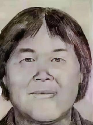 多位寻亲家长给梅姨同居者下跪 为寻线索放下全部尊严