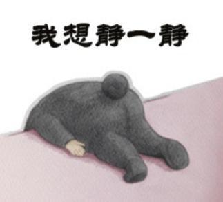 3名驴友为拍照喝茶擅闯保护区失联