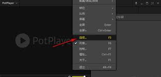 PotPlayer怎么开启AC3DTS音效音量处理功能