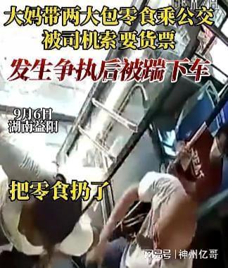 大妈带2大包零食坐公交被踹下车 司机要大妈买货票