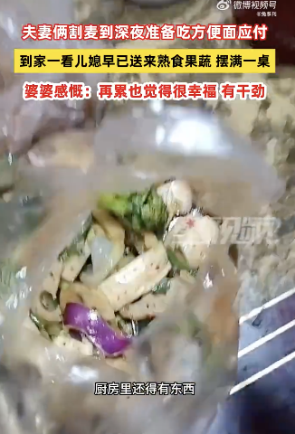 夫妻俩割麦到深夜儿媳送熟食果蔬 温情暖意治愈人心