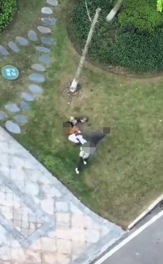 女子遛狗时被打警方介入调查