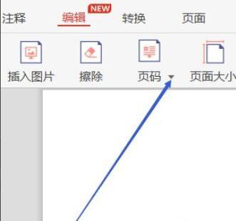 极光PDF阅读器怎么给文档插入页码
