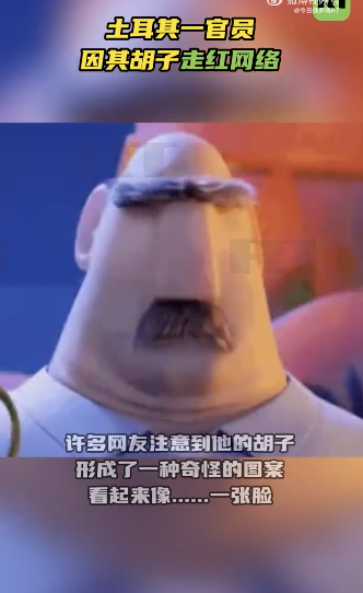 土耳其一官员因其胡子走红网络