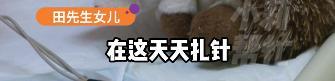 11岁女孩频繁呕吐没想到确诊肾衰竭 误判胃病酿成悲剧