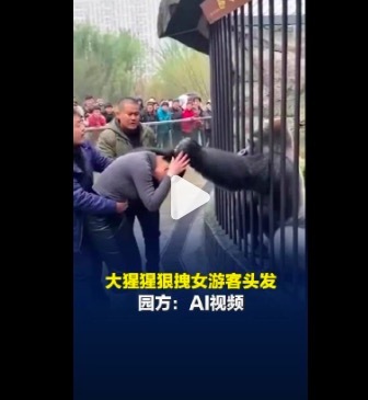大猩猩狠拽女游客头发视频系AI