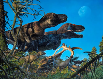 北极地区史前最大墓地揭示了怎样的惊人现实？恐龙杀手化石现身！