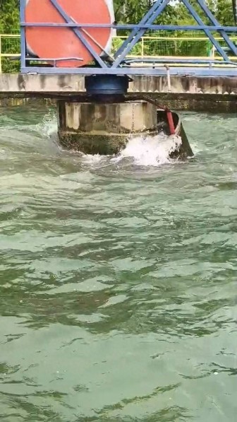 菲律賓7.8級強震中國親歷者發(fā)聲：震感強烈