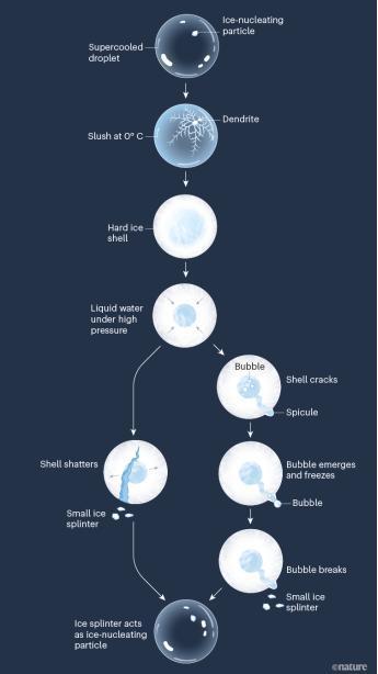 东北家里忘关水龙头变“冰山” 疏忽酿成微型“冰灾”