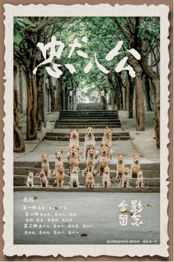 狗狗和马狂飙演技，动物演员翻身当家做主角？