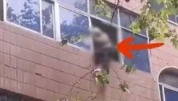 驚險現(xiàn)場！102歲老人墜樓被眾人合力接??！