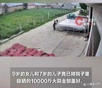 姐姐帶弟弟暴雨搶蓋1萬斤大蒜 稚嫩肩膀扛起責(zé)任