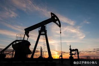 阿联酋退出欧佩克 黄金为何暴跌 能源卡特尔体系裂变