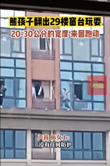 湖南3名小孩翻出29楼窗户玩耍
