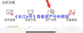 长江e号如何查看资产分析