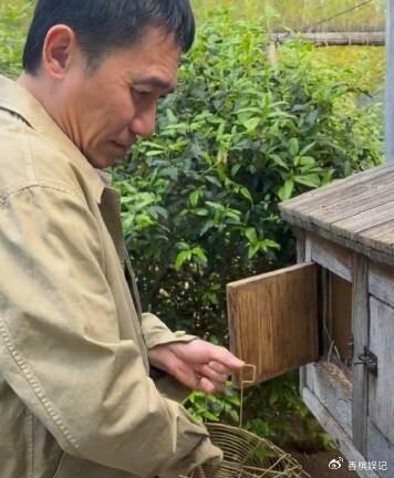 梁朝伟：当评委比捡鸡蛋更需要耐心 明星种地寻平静