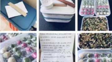 Chinese mother's '666-yuan dumpling package' wins netizens' hearts