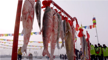 查干湖“头鱼”拍出296万元 Appetite grows for frozen fish from NE China lake