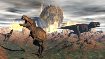 Comet from edge of solar system killed the dinosaurs: study