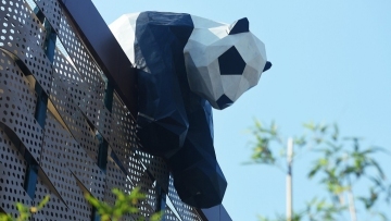 Supersized pandas clamber like King Kong over Hangzhou rooftop