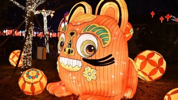 Festive lanterns light up New Year's Day in Nanjing