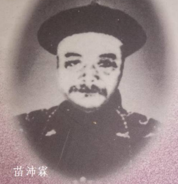 苗沛霖：穷秀才出身！不精通历史？可淮北能找到一个抄书的地方？