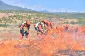 攀峭壁灭山火大理森林消防开展春季野外驻训丨图集
