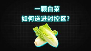 动解｜一颗白菜，如何送进北京封控区？