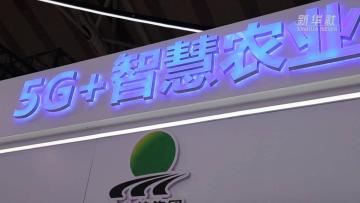 新华全媒+丨聚焦2022世界5G大会亮点
