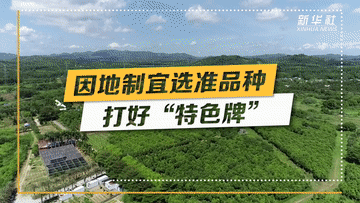 强信心·开新局｜深耕特色产业赋能乡村振兴