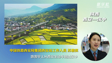 “绽放”的中国活力——“赏花经济”助推乡村振兴观察