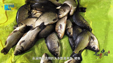 寻味中国丨传承千年的烤鱼，是什么样的味蕾体验？