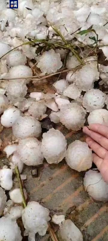 广西多地遭冰雹袭击 农田作物严重受损，强对流天气持续预警