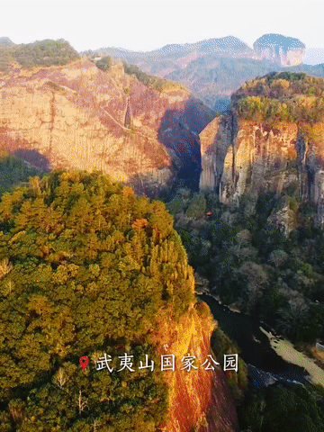 跟著總書(shū)記,，從國(guó)家公園看“萬(wàn)物共生”