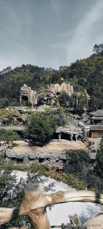 自动驾驶“卷”进景区？