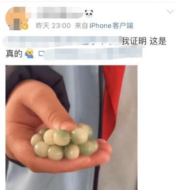 陆毅两个女儿爱上盘手串担心影响他们学习 全国家长：家有同款
