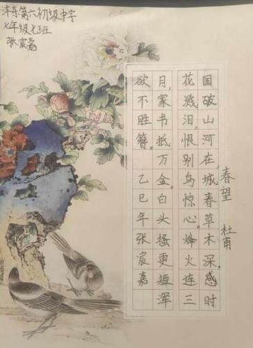 陕西省西咸新区沣东新城第六初级中学-张宸嘉          