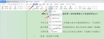 WPS如何实现字体横竖转换