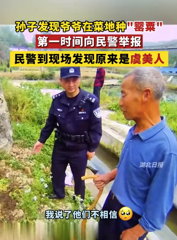 孫子向民警舉報爺爺在菜地種“罌粟”,，民警到現(xiàn)場一看...