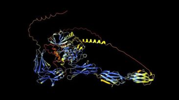 AI真的治好了狗狗的癌症吗？ 情况有些复杂