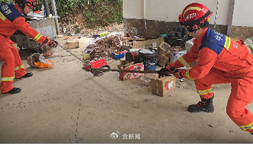 眼镜蛇闯入居民家中被消防员捕获 专业处置保平安