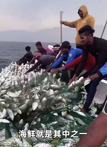 印度虾来了！网友担忧印度水产卫生状况 价格诱人却难获信任？