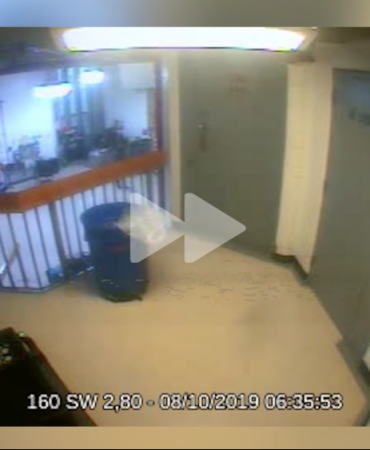 爱泼斯坦被发现升天技巧段监控画面!